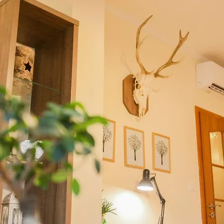 Rustique Apartamento *